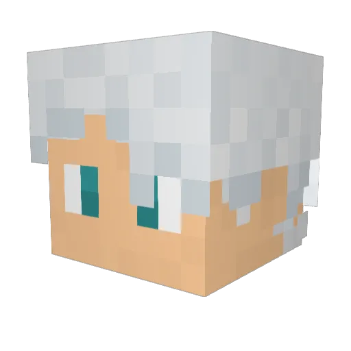 Draklen23 Minecraft avatar head, 3D render