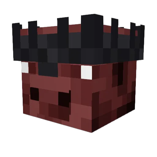 DrakoGecko21 Minecraft avatar head, 3D render