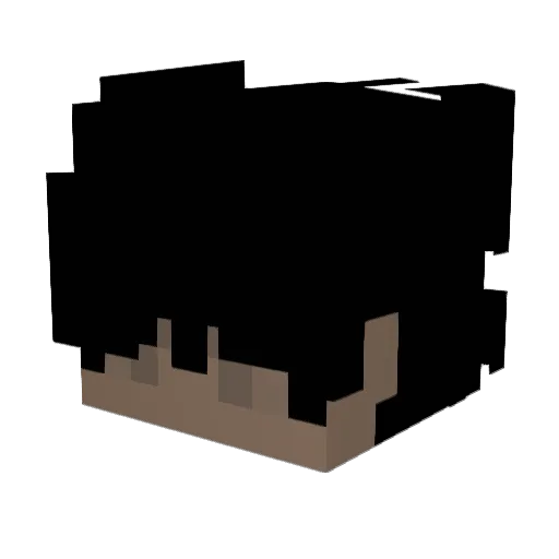 Drako_fn Minecraft avatar head, 3D render