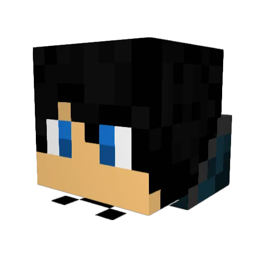 Drakon87295 Minecraft avatar head, 3D render
