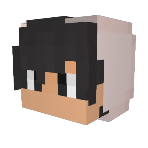 Drakonslayer111 Minecraft avatar head, 3D render