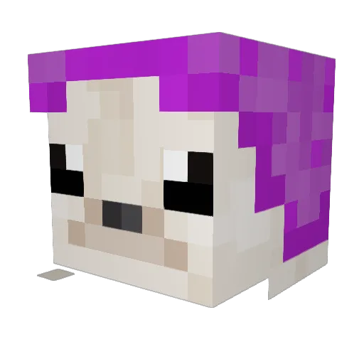 Drakot21 Minecraft avatar head, 3D render