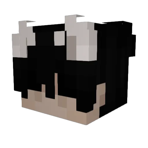 Drakuh Minecraft avatar head, 3D render