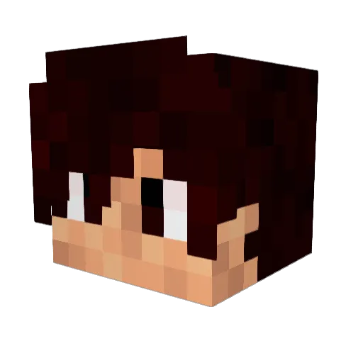 Drakz13 Minecraft avatar head, 3D render