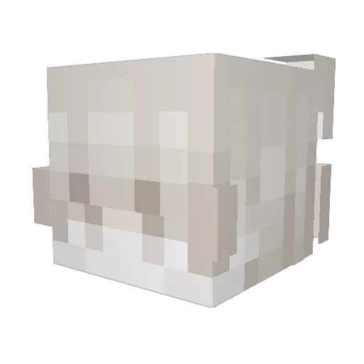 Drakzzy Minecraft avatar head, 3D render