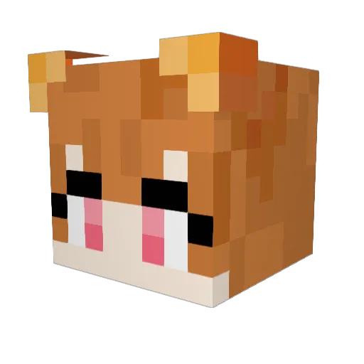 Dralion97 Minecraft avatar head, 3D render