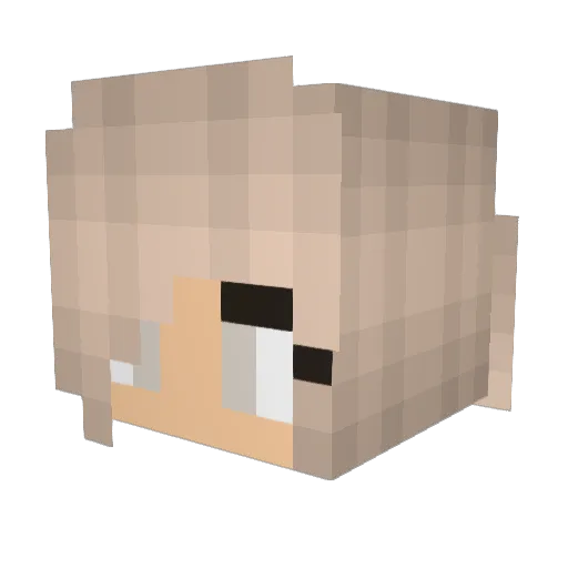 DramaQueen25 Minecraft avatar head, 3D render