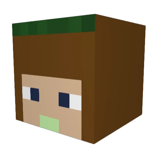 Dramagirl007 Minecraft avatar head, 3D render