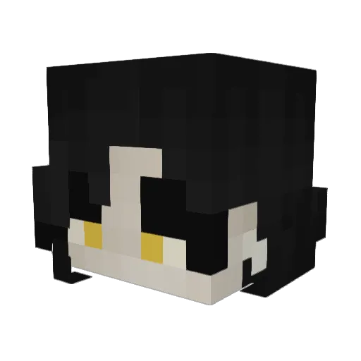 DramaticRegina Minecraft avatar head, 3D render