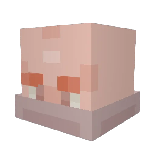 DramaticShroud Minecraft avatar head, 3D render