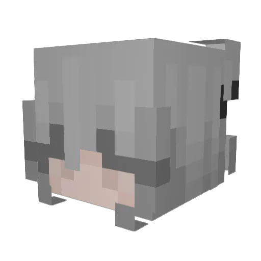 Dramqtica Minecraft avatar head, 3D render