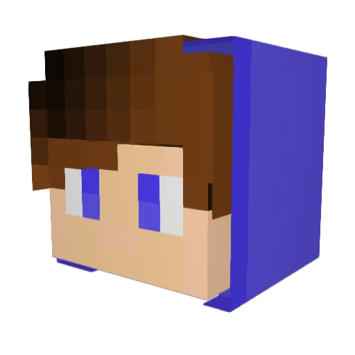 Dranagh Minecraft avatar head, 3D render