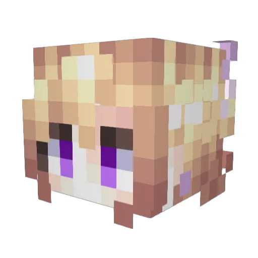 Dranemra Minecraft avatar head, 3D render