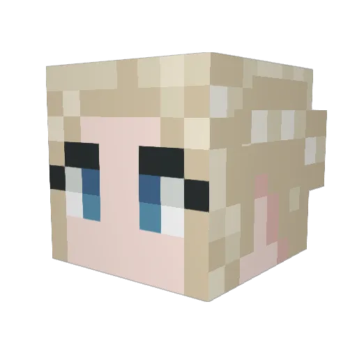 Draner13 Minecraft avatar head, 3D render