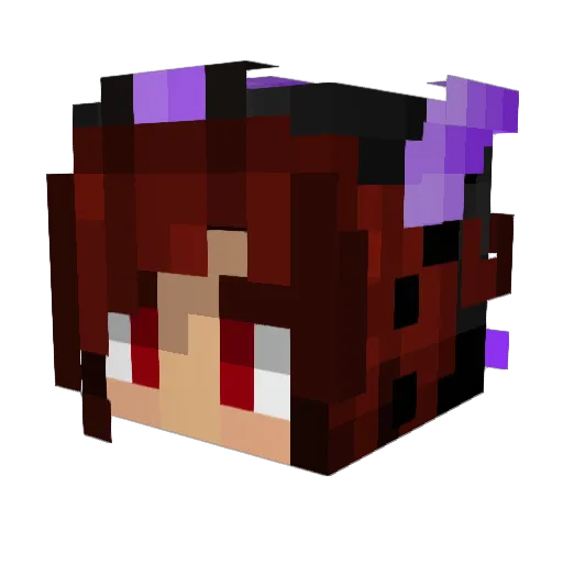 Draniax Minecraft avatar head, 3D render