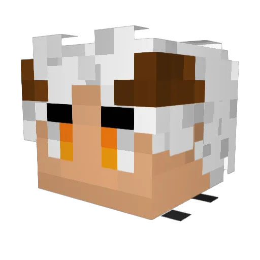 Dranlake Minecraft avatar head, 3D render