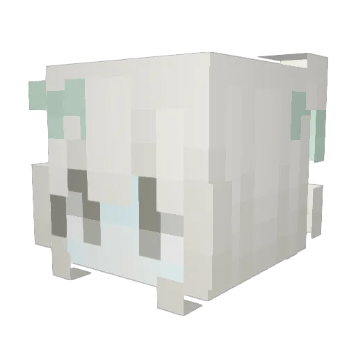 Drasie Minecraft avatar head, 3D render