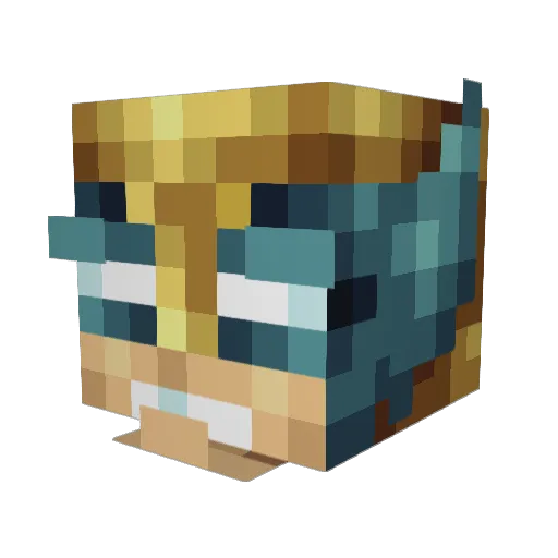 Drask71 Minecraft avatar head, 3D render