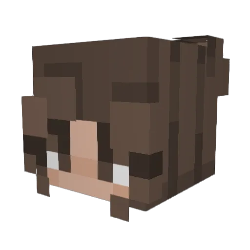 Dratex69 Minecraft avatar head, 3D render
