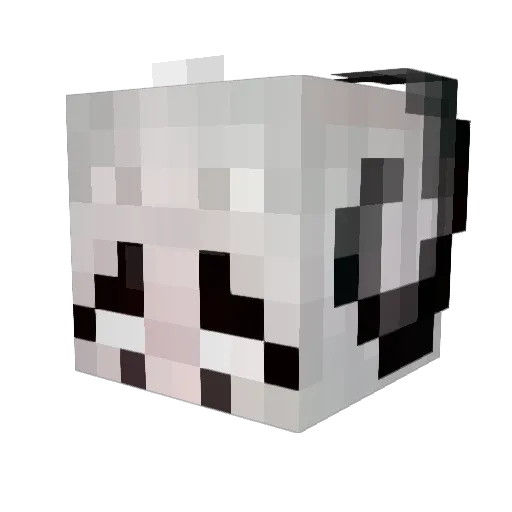 Dratsab101 Minecraft avatar head, 3D render