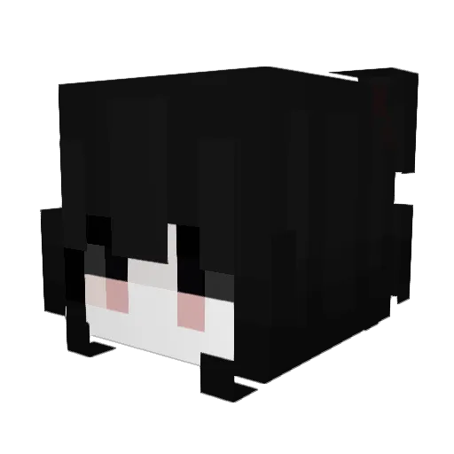 Draugluin_ Minecraft avatar head, 3D render