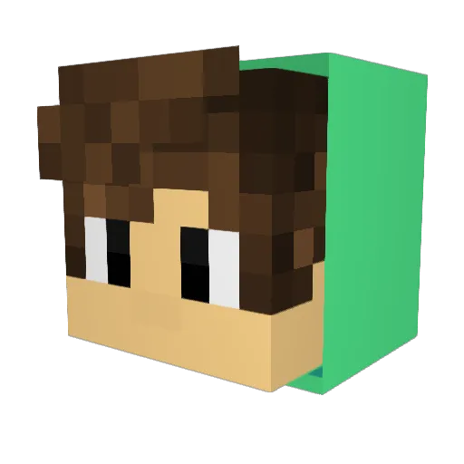 Draulero Minecraft avatar head, 3D render