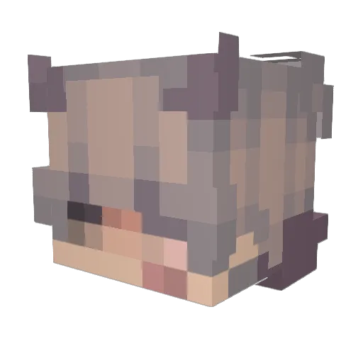 Draven0z Minecraft avatar head, 3D render