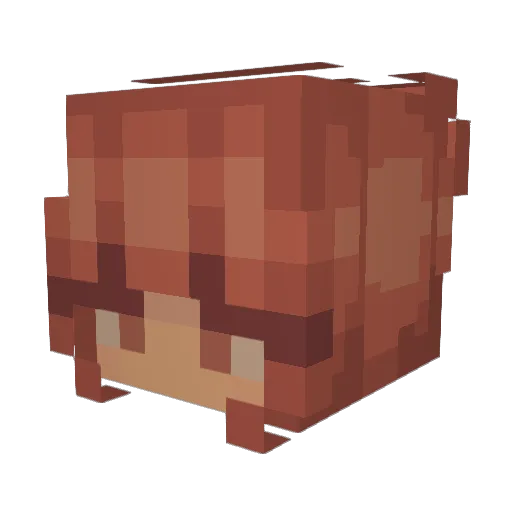 Draven_Demina Minecraft avatar head, 3D render
