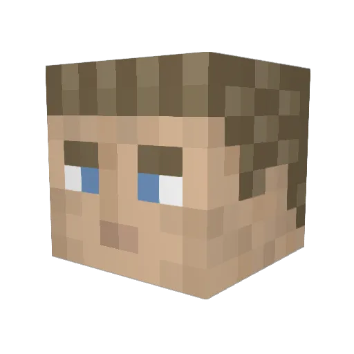 DrawMyLife Minecraft avatar head, 3D render
