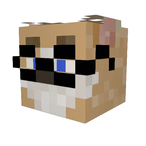DrawTime Minecraft avatar head, 3D render