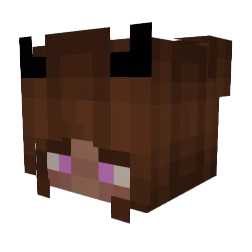 Draw_Moons Minecraft avatar head, 3D render