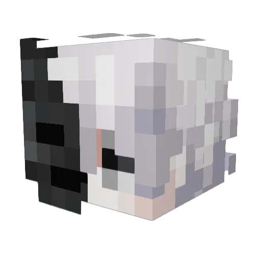 Drawingxs Minecraft avatar head, 3D render