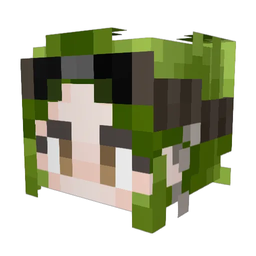 Drawsire Minecraft avatar head, 3D render