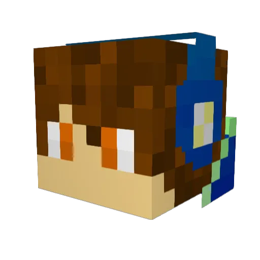 DraxType Minecraft avatar head, 3D render