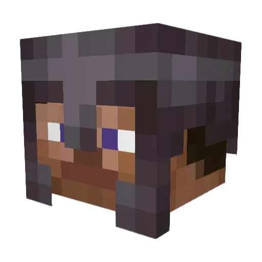 Draxler0404 Minecraft avatar head, 3D render