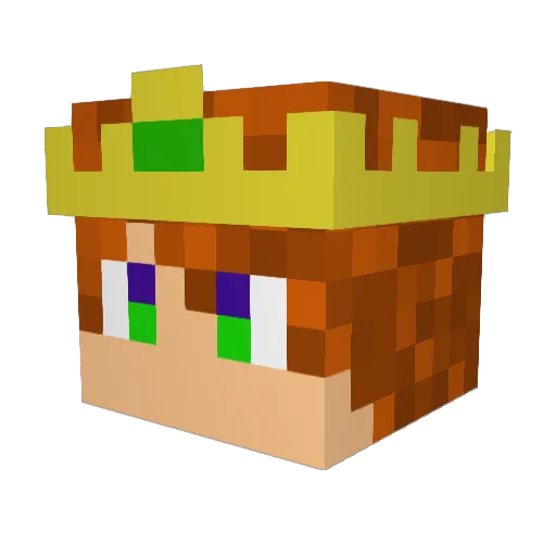 Dray500 Minecraft avatar head, 3D render