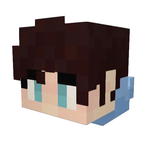 Draycos77 Minecraft avatar head, 3D render