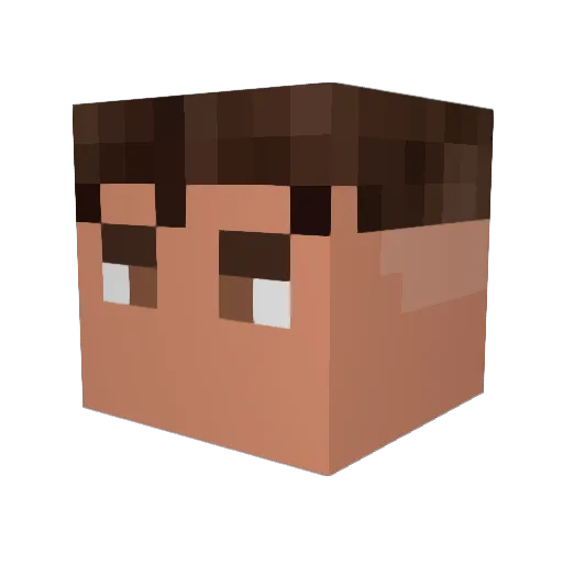 Draygora Minecraft avatar head, 3D render