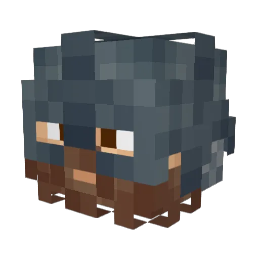 Draza22 Minecraft avatar head, 3D render