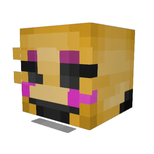 Drbadcat101 Minecraft avatar head, 3D render