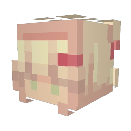 Drboops Minecraft avatar head, 3D render