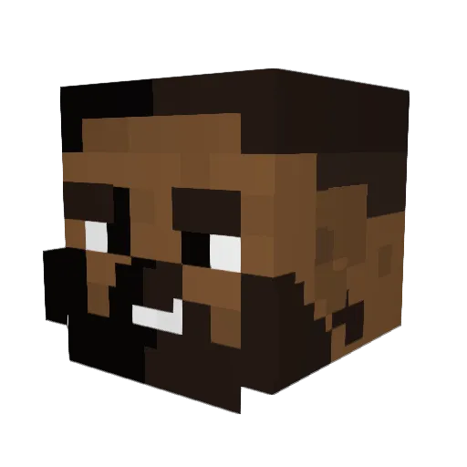 Drcav Minecraft avatar head, 3D render