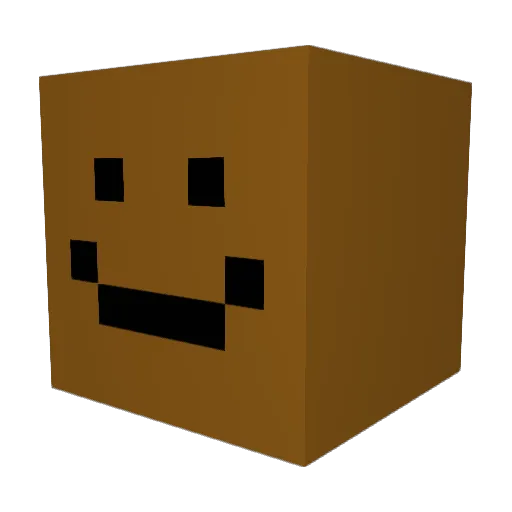 Drd27 Minecraft avatar head, 3D render