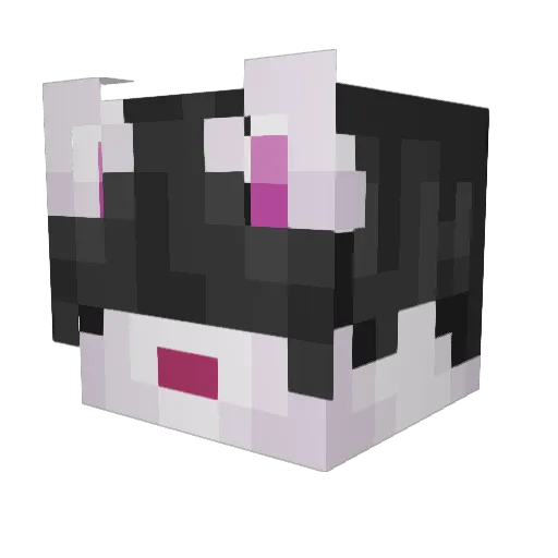 DreadRykk Minecraft avatar head, 3D render