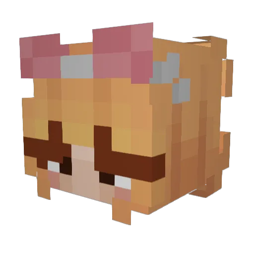 Dream399 Minecraft avatar head, 3D render
