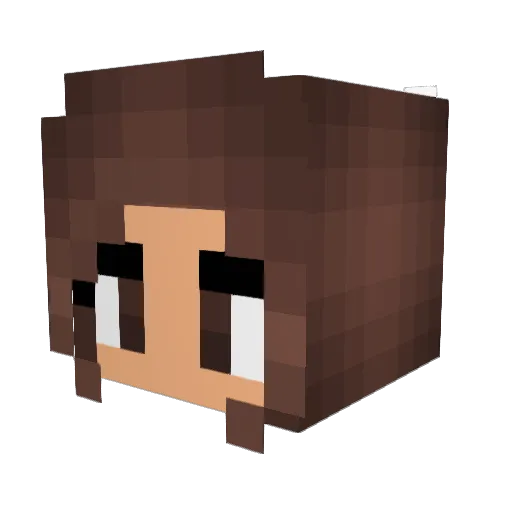 DreamGeeks Minecraft avatar head, 3D render
