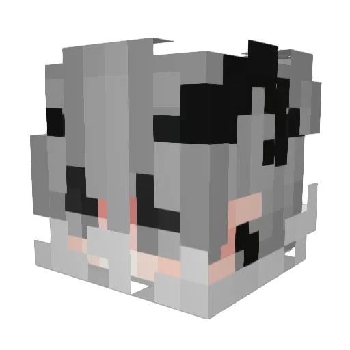 DreamNavy Minecraft avatar head, 3D render