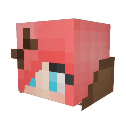 DreamNightz Minecraft avatar head, 3D render