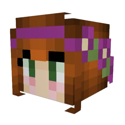 DreamSmasher51 Minecraft avatar head, 3D render