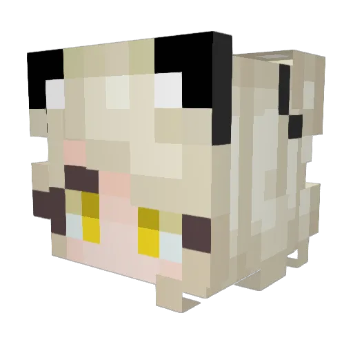 DreamTrash Minecraft avatar head, 3D render